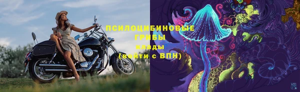 PSILOCYBIN Бронницы