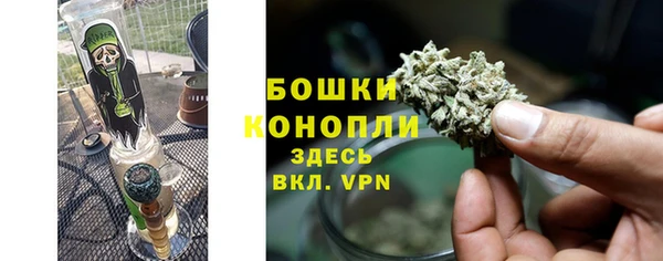 гашик Бородино