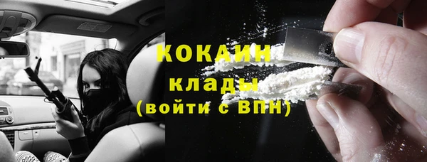 гашик Бородино
