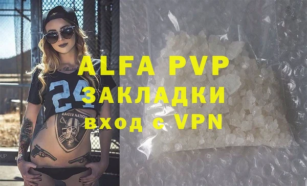 гашик Бородино