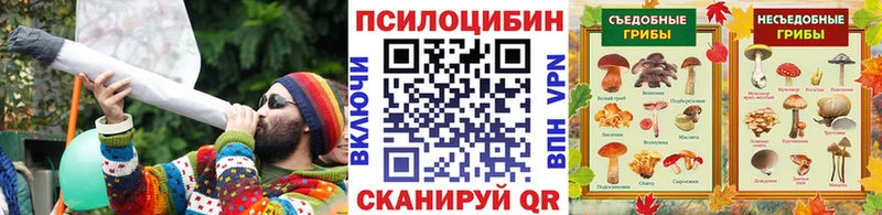 Псилоцибиновые грибы Psilocybine cubensis  Северская 
